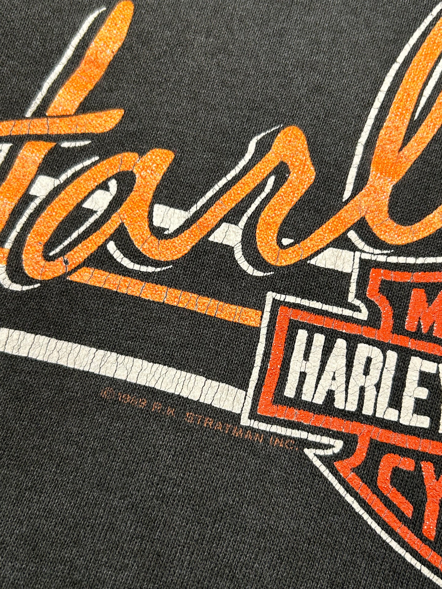 Vintage Harley Davidson Motorcycles Sandy’s Sweatshirt Eagle Biker 20x24 Inches Small Fit 1980s
