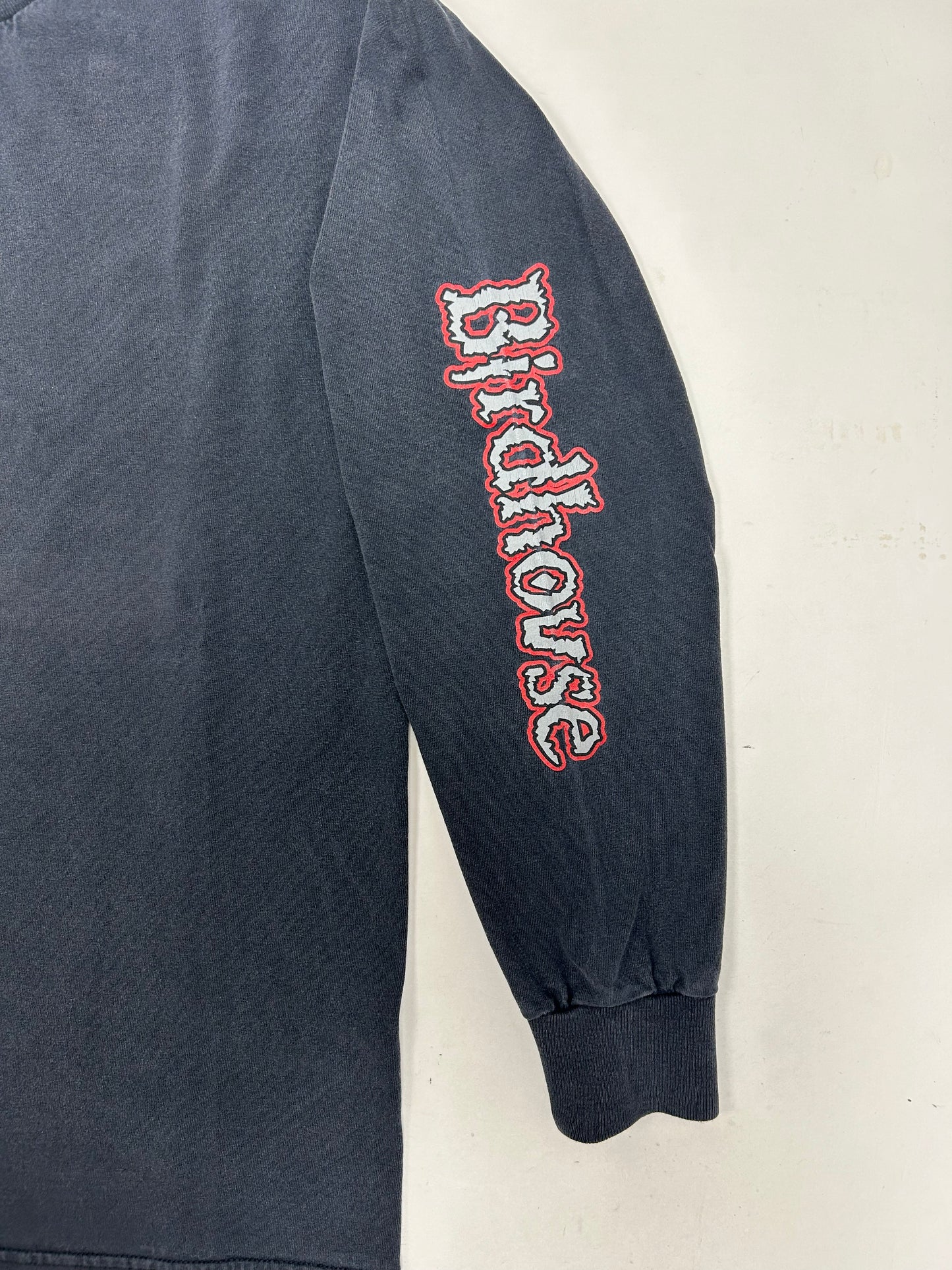 Vintage Tony Hawk Birdhouse Skateboards Pterodactyl Skelton Skate Long Sleeve Large 21.5x28.5 Inches