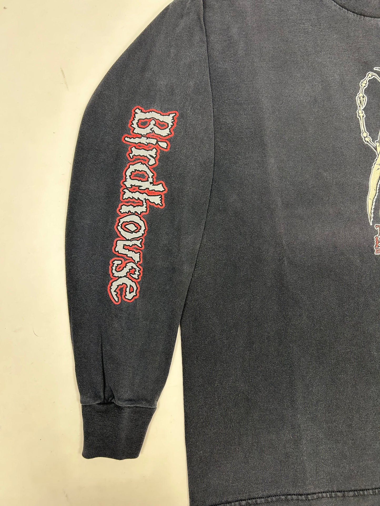 Vintage Tony Hawk Birdhouse Skateboards Pterodactyl Skelton Skate Long Sleeve Large 21.5x28.5 Inches
