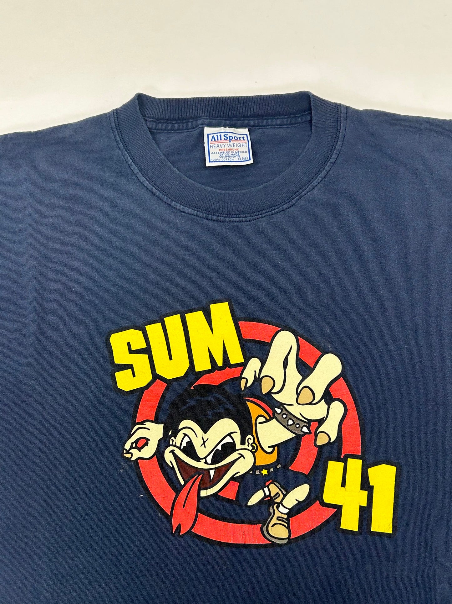 Vintage Sum 41 Band Tee Punk Rock Y2K Music Graphic Tee Skate XL 22.75x29.25 Inches All Sport Tag