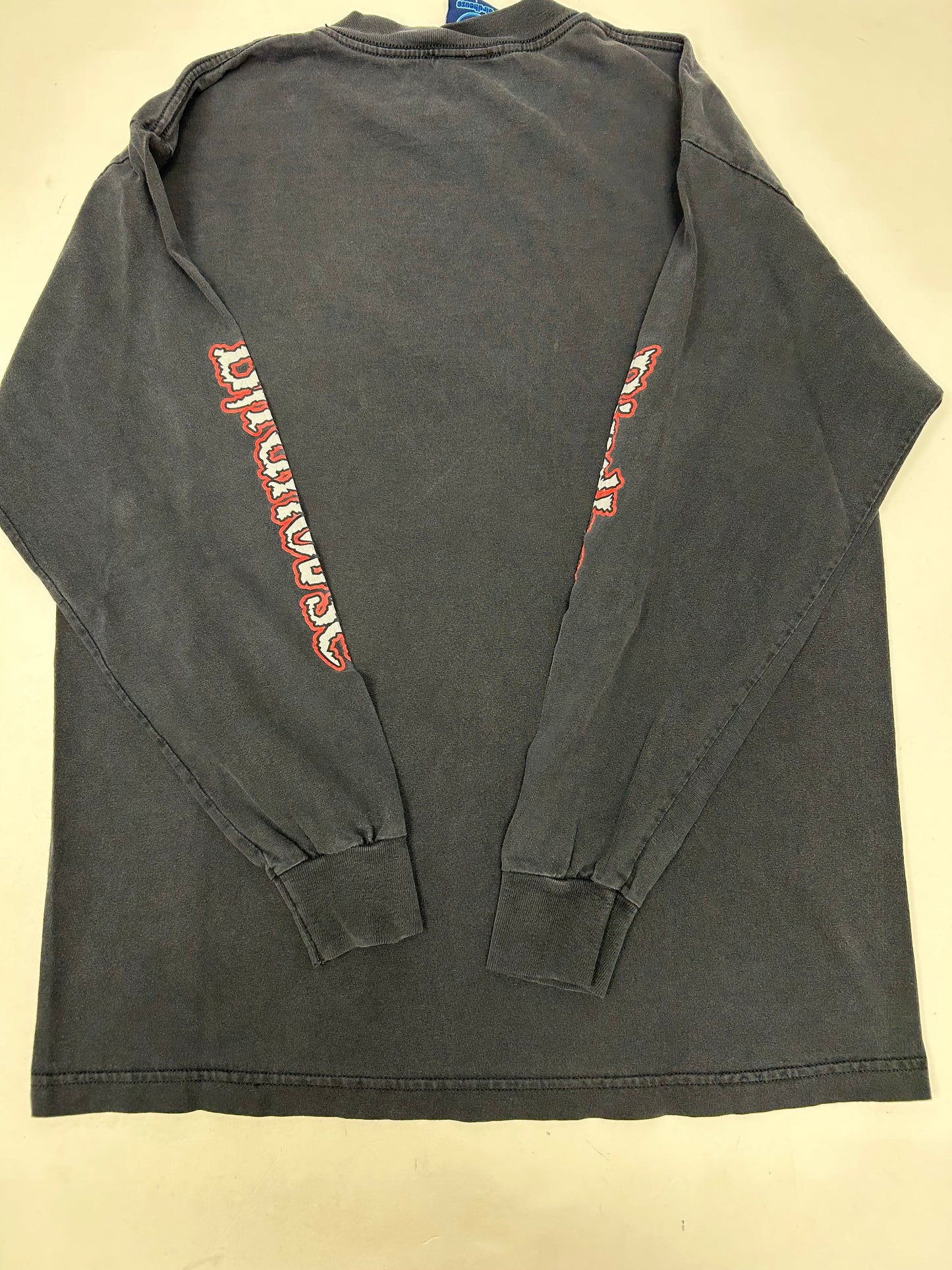 Vintage Tony Hawk Birdhouse Skateboards Pterodactyl Skelton Skate Long Sleeve Large 21.5x28.5 Inches