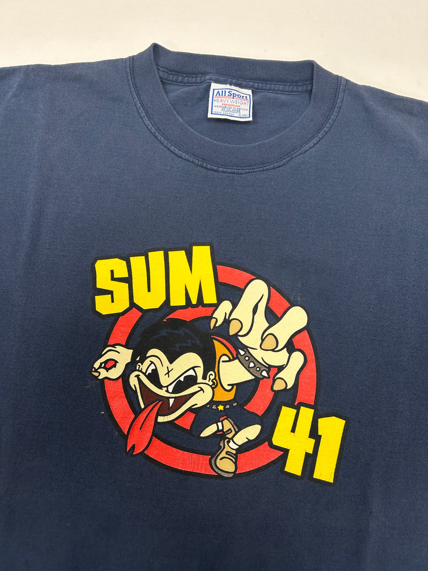 Vintage Sum 41 Band Tee Punk Rock Y2K Music Graphic Tee Skate XL 22.75x29.25 Inches All Sport Tag