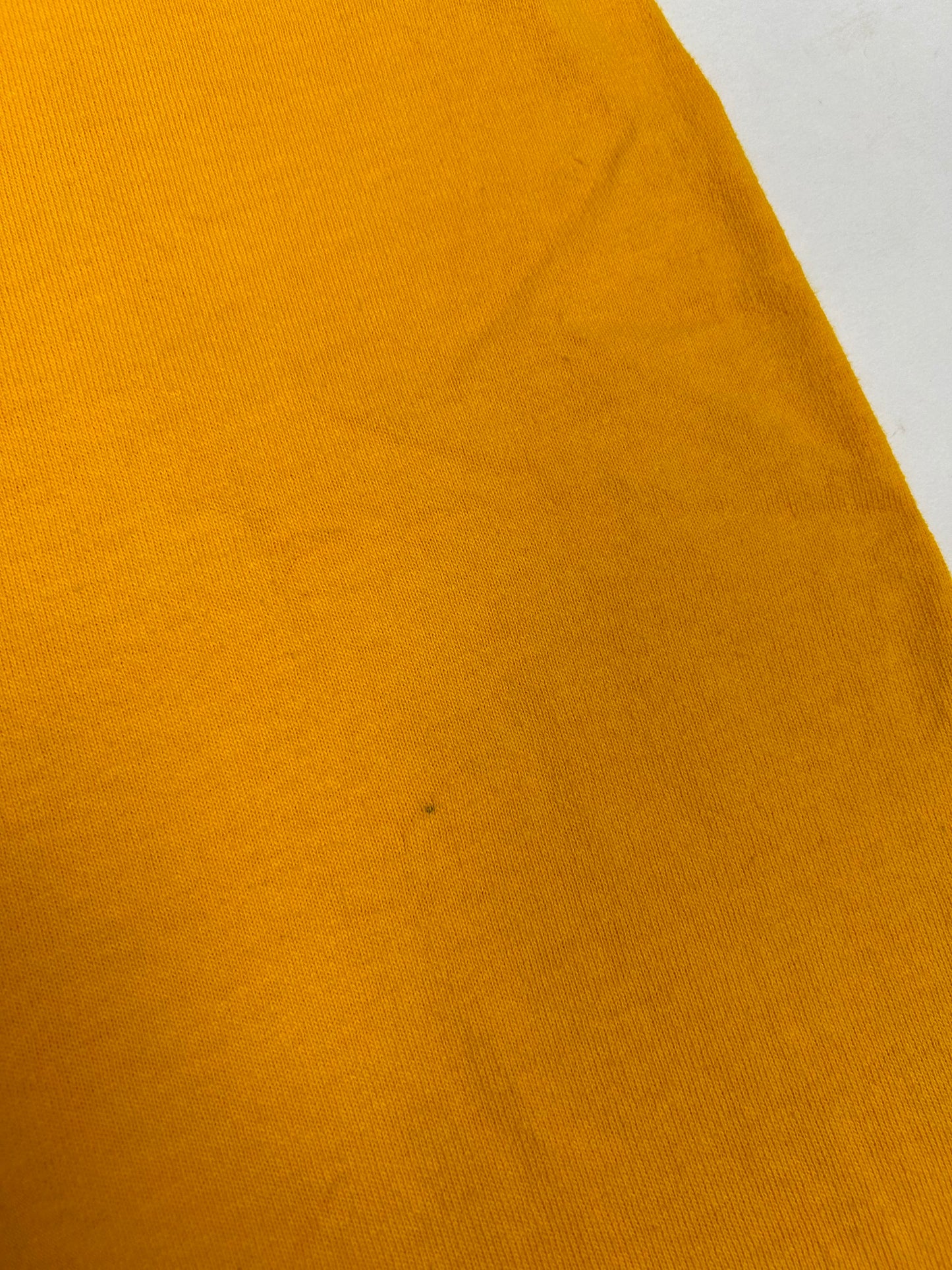 Vintage Champion Chest Script Essential Tee Tagged XL Can Fit Large 22.5x31.75 Inches Made In USA