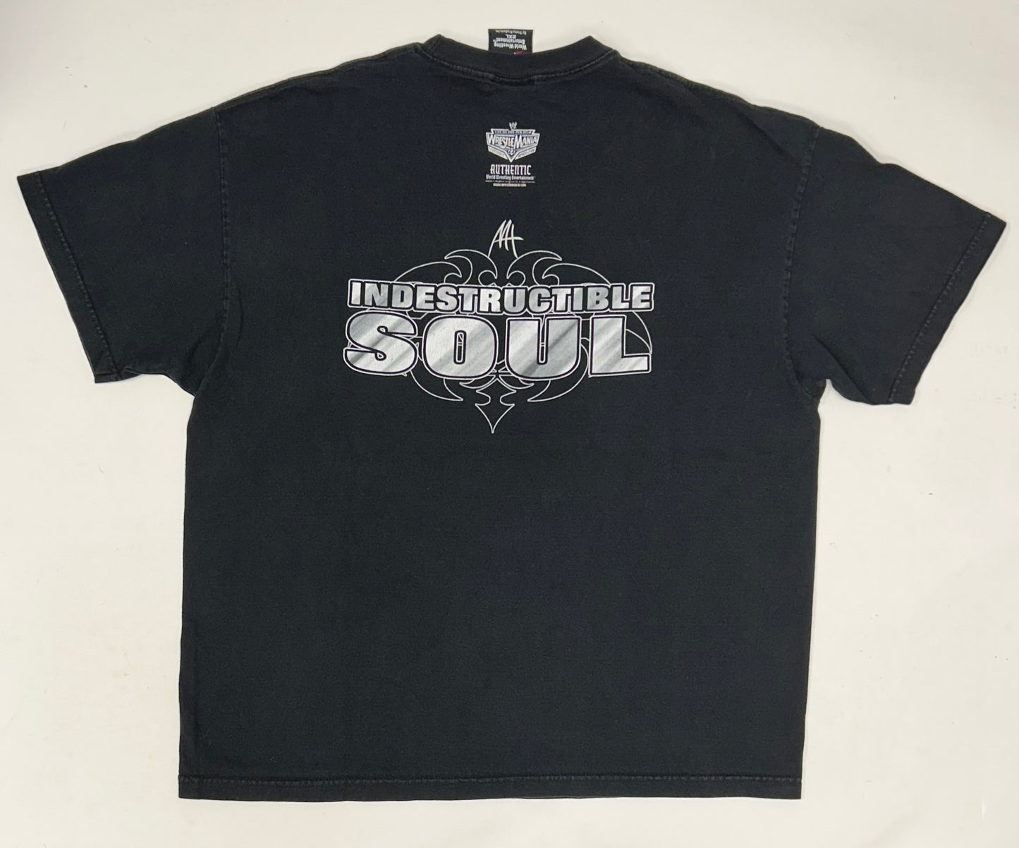 2002 Vintage Matt Hardy “Indestructible Soul” Hardy Boyz Wrestling WWE WWF Tee Size 2XL 25.75x30.75 Inches A