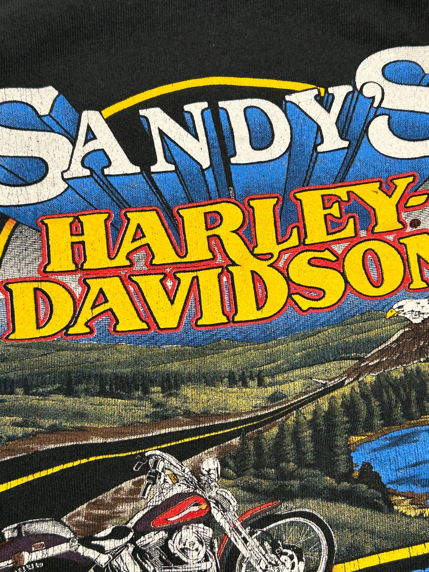 Vintage Harley Davidson Motorcycles Sandy’s Sweatshirt Eagle Biker 20x24 Inches Small Fit 1980s