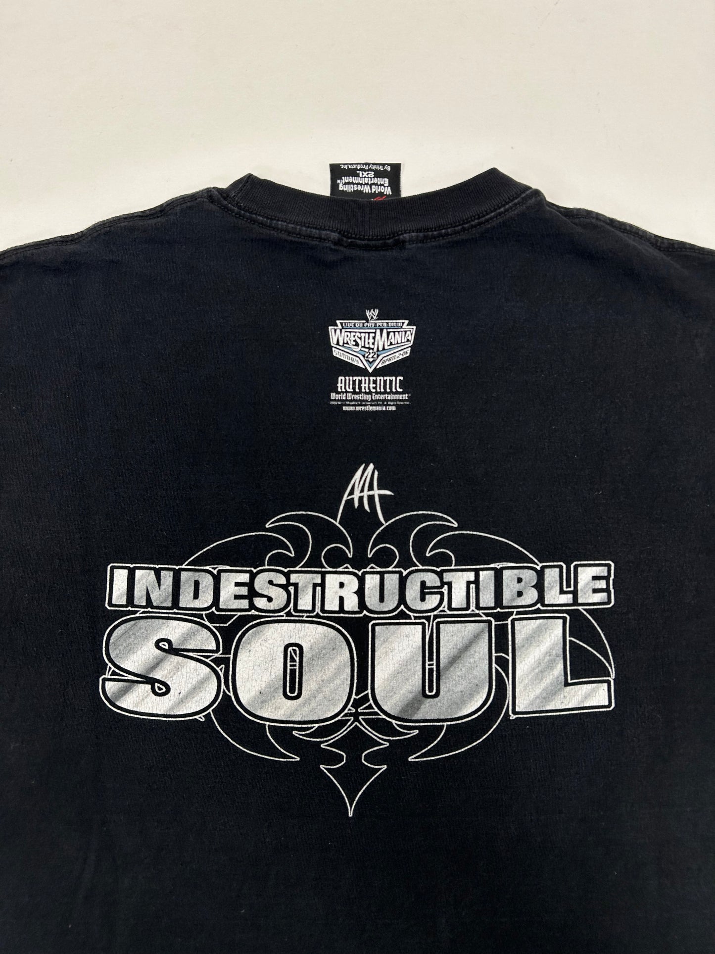 2002 Vintage Matt Hardy “Indestructible Soul” Hardy Boyz Wrestling WWE WWF Tee Size 2XL 25.75x30.75 Inches A