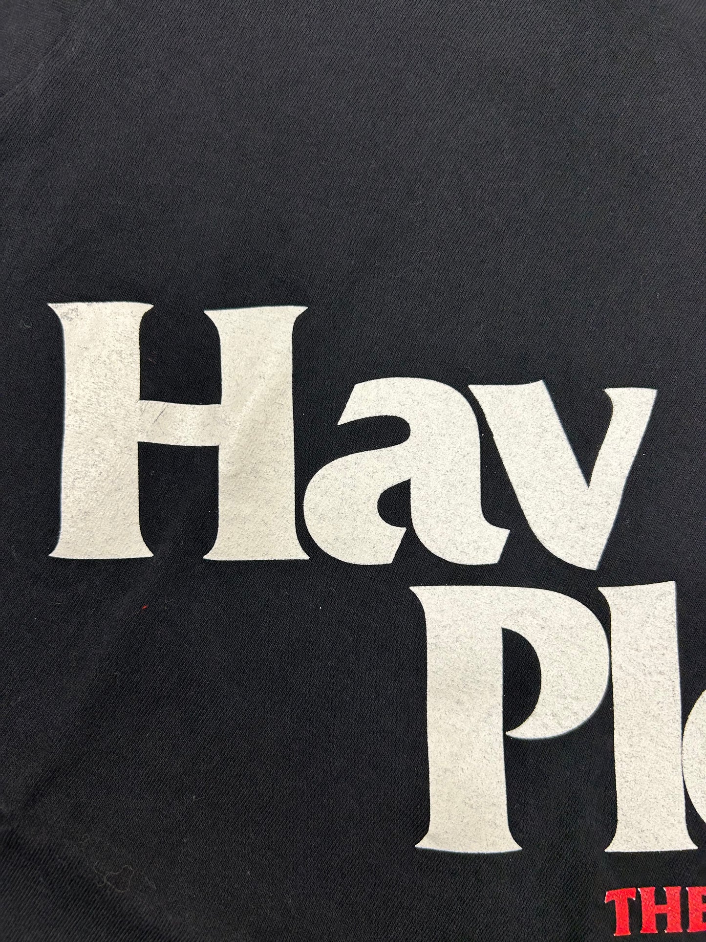 Vintage Hav Plenty Movie Soundtrack Erykah Baduh Methodman Jay z DMX Tee Medium 19.25x27.25 Inches