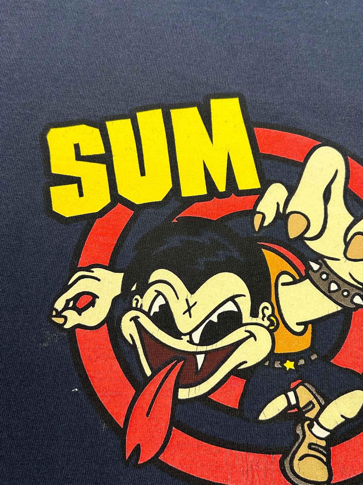 Vintage Sum 41 Band Tee Punk Rock Y2K Music Graphic Tee Skate XL 22.75x29.25 Inches All Sport Tag
