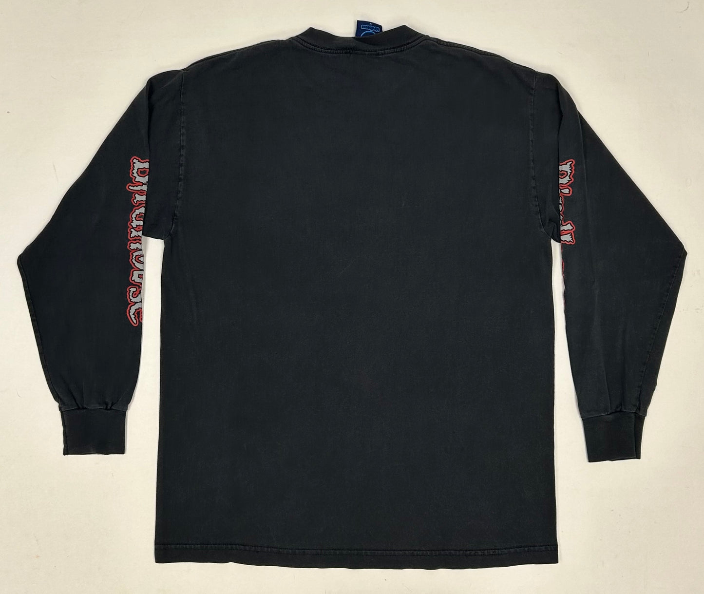 Vintage Tony Hawk Birdhouse Skateboards Pterodactyl Skelton Skate Long Sleeve Large 21.5x28.5 Inches