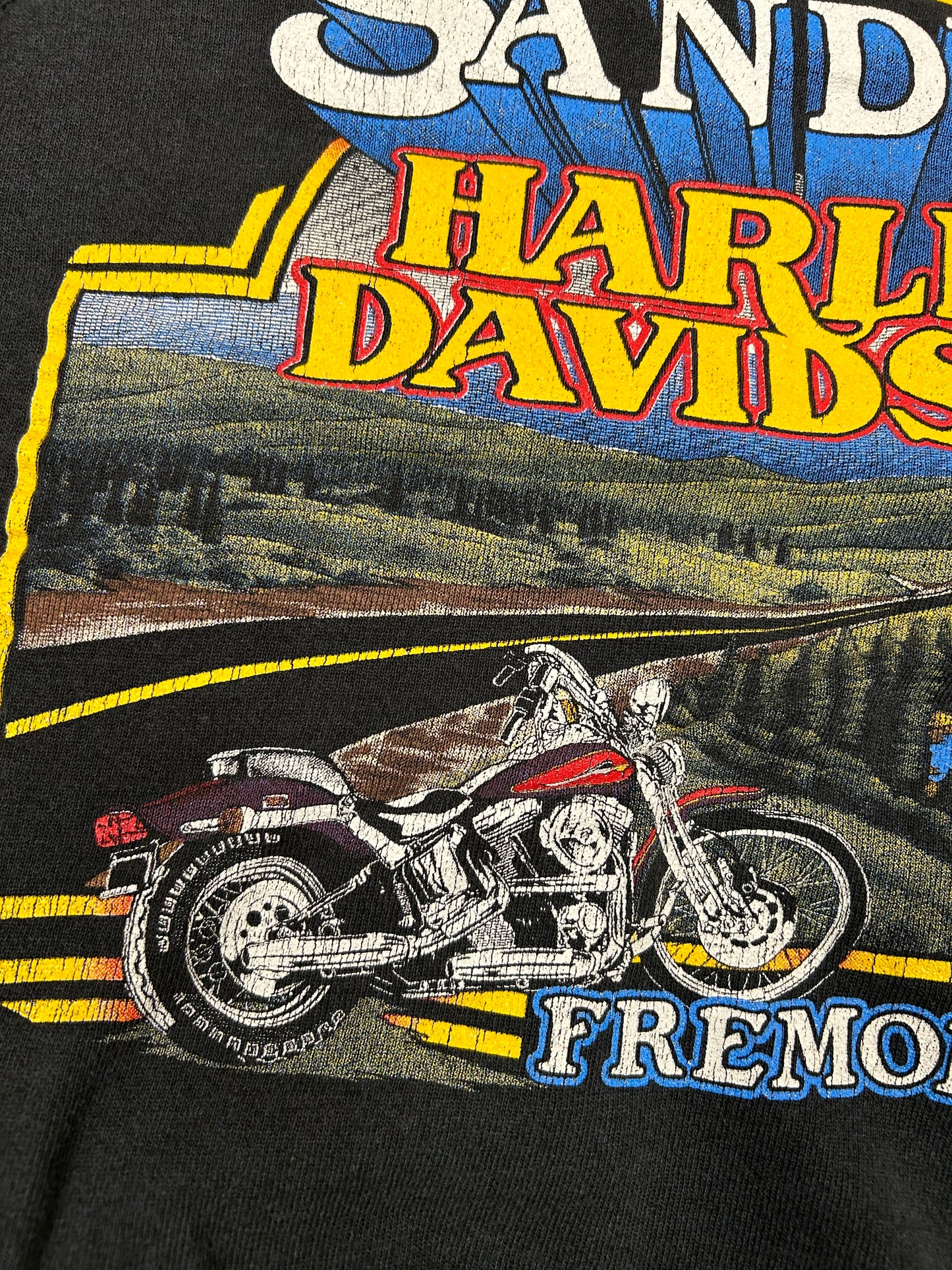 Vintage Harley Davidson Motorcycles Sandy’s Sweatshirt Eagle Biker 20x24 Inches Small Fit 1980s