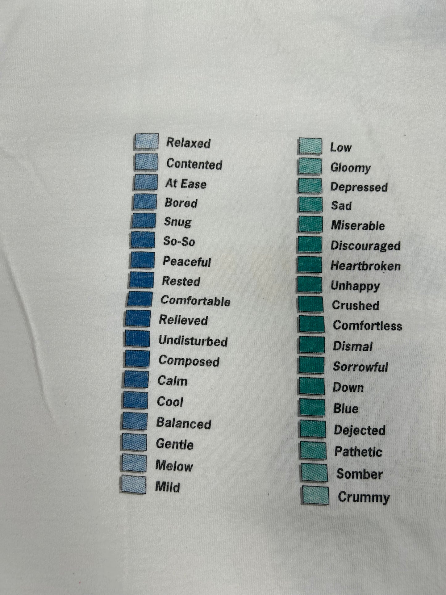 Vintage David Byrne Feelings Chart Album Promo Tee 90s Music Shirt Large/Medium 21x28.25 Inches