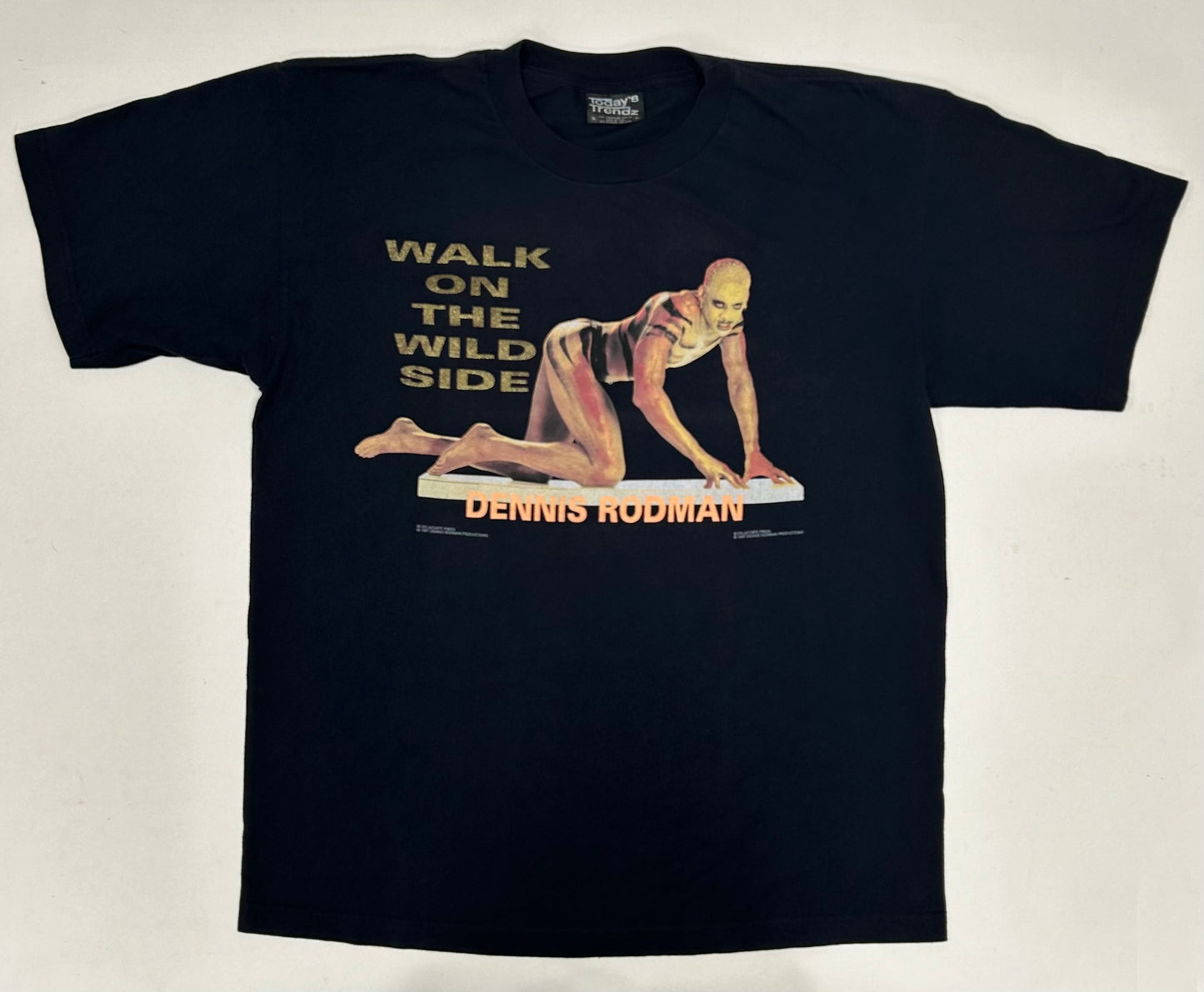 Vintage 1997 Dennis Rodman Walk On The Wild Side Book Promo Tee XL 23.75x29.75 Inches