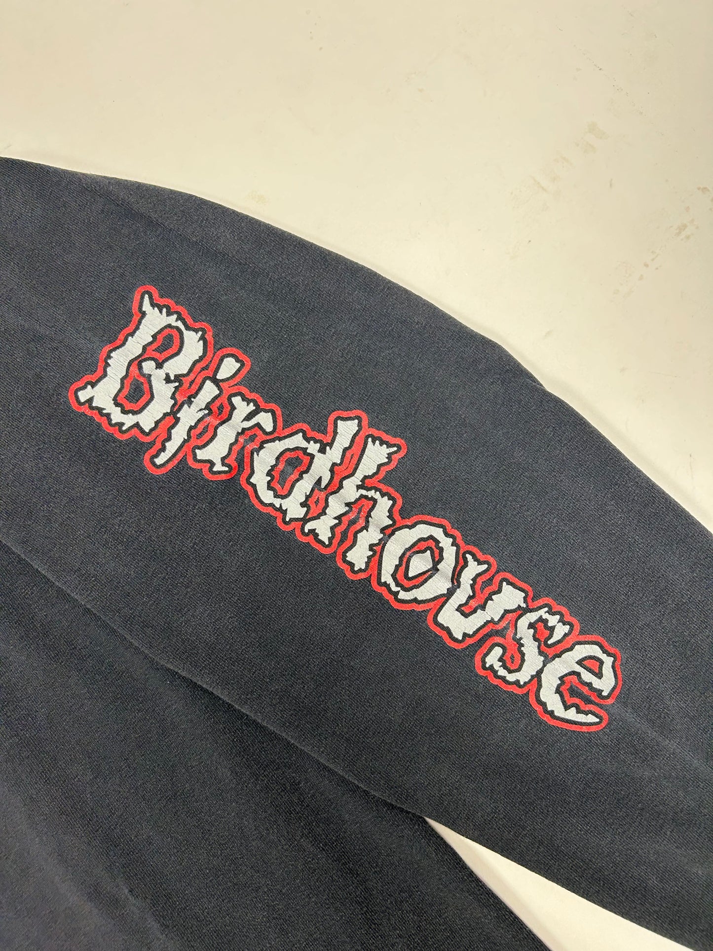 Vintage Tony Hawk Birdhouse Skateboards Pterodactyl Skelton Skate Long Sleeve Large 21.5x28.5 Inches