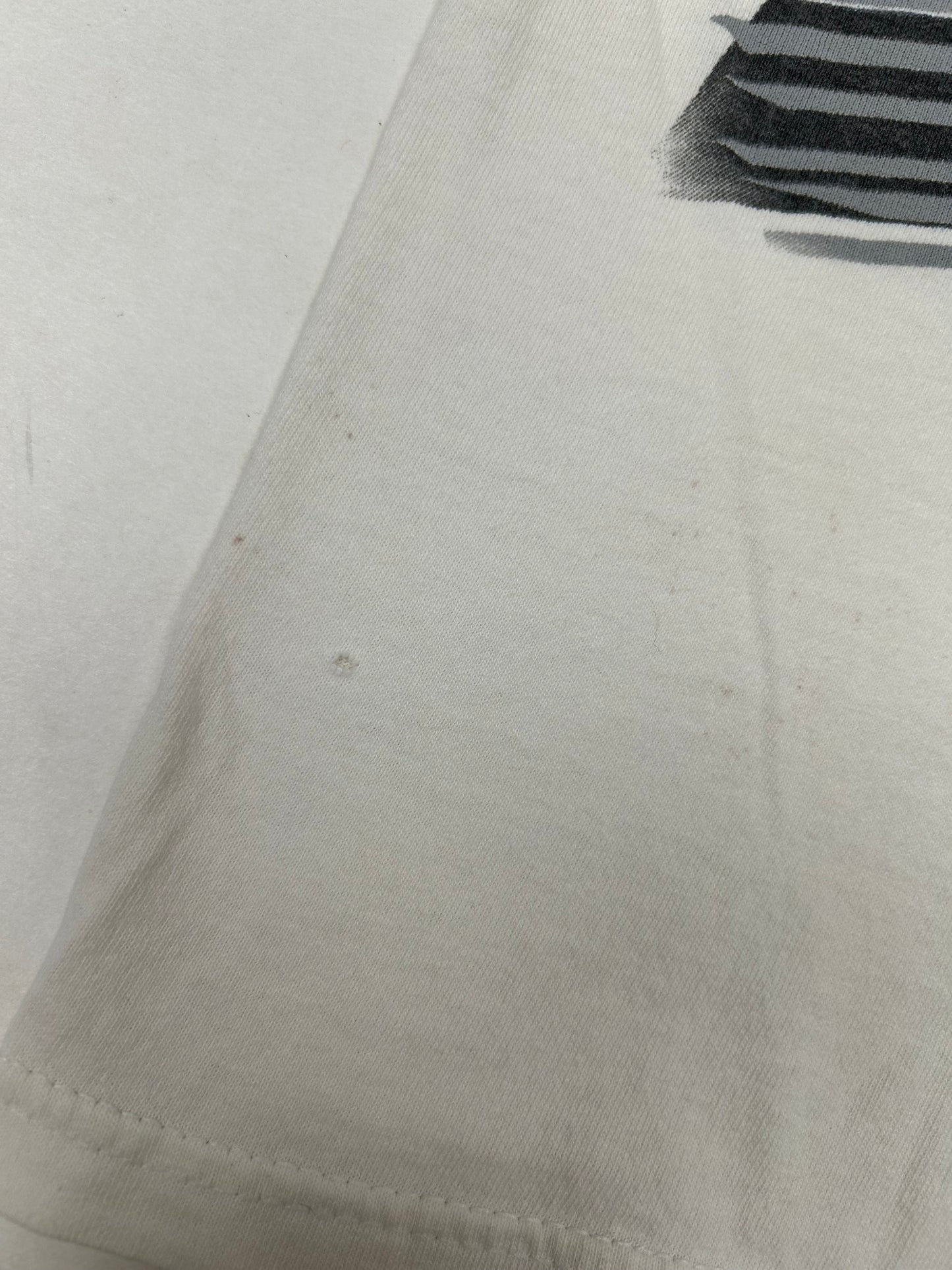 Vintage Chase Authentics NASCAR Dodge R/T Evernham #19 Dare To Be Different XL 25x29.5 Inches As Is