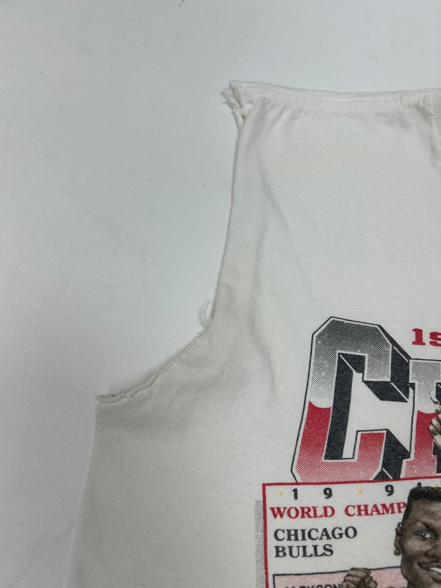 Vintage Chicago Bulls 1991 NBA Champs Caricature Team Salem Sportswear Sleeveless Chopped Tank Top Tee Medium/Small Fit