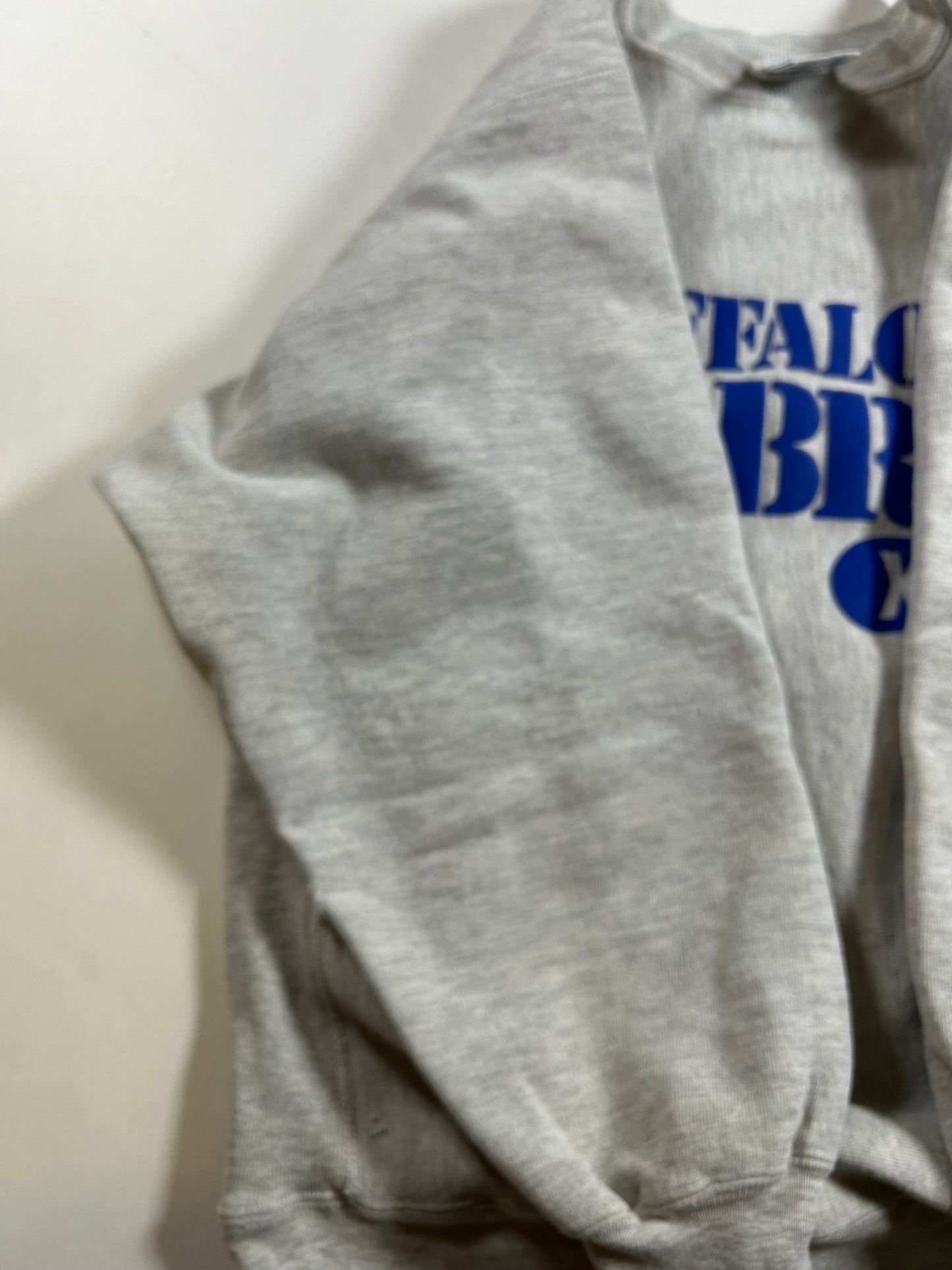 Vintage Buffalo Sabres NHL Champion Reverse Weave Crewneck Sweatshirt 21.75x27.5 Inches Mediumish/Smallish Fit As Is Has Wear