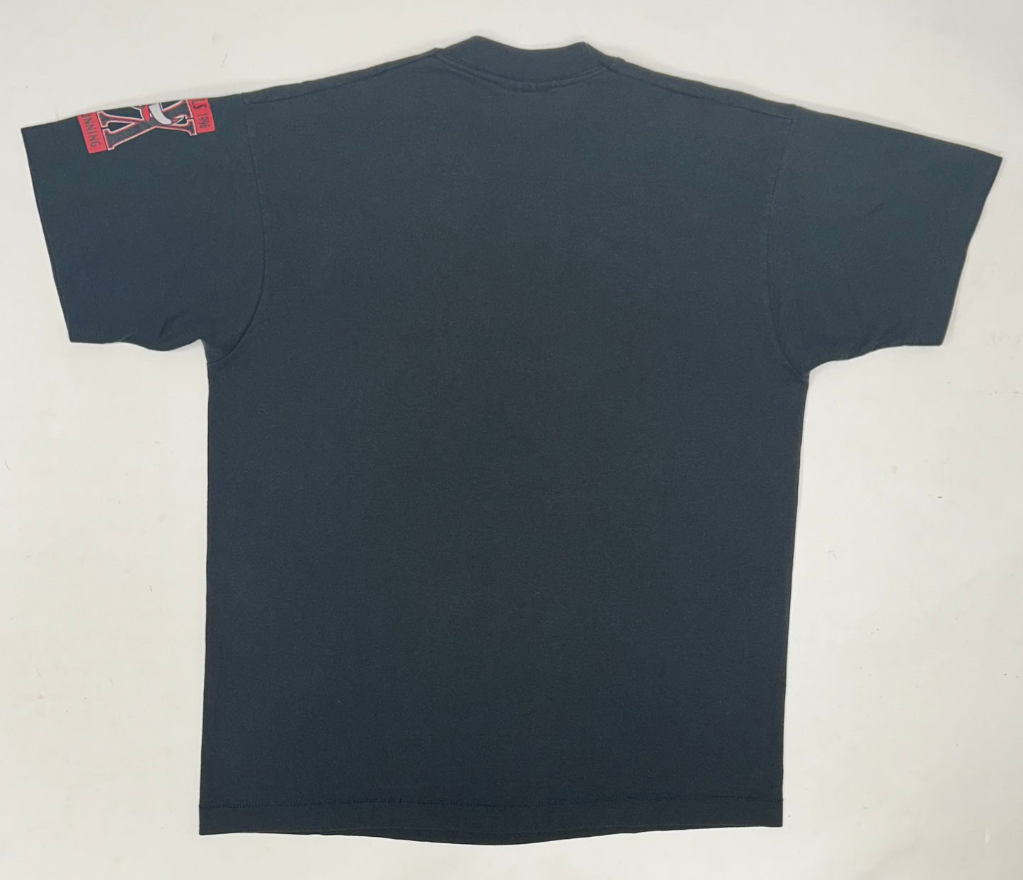 Vintage Chicago Bulls 1995-1996 30 Years And Running Dennis Rodman On The Rebound Tee Large 21.5x28.25 Inches