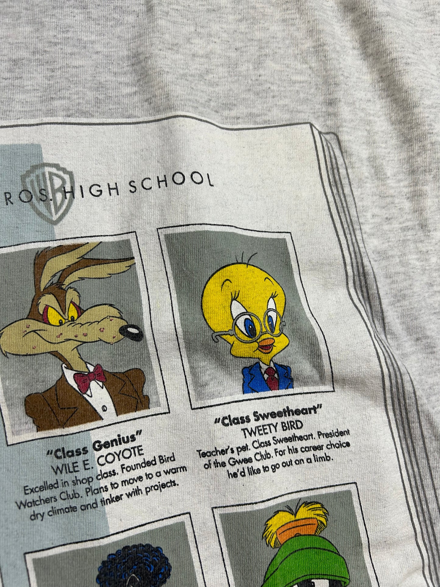 Vintage 1998 Warner Bros. High School Pictures Looney Tunes Tee Large 21.25x29.25 Inches