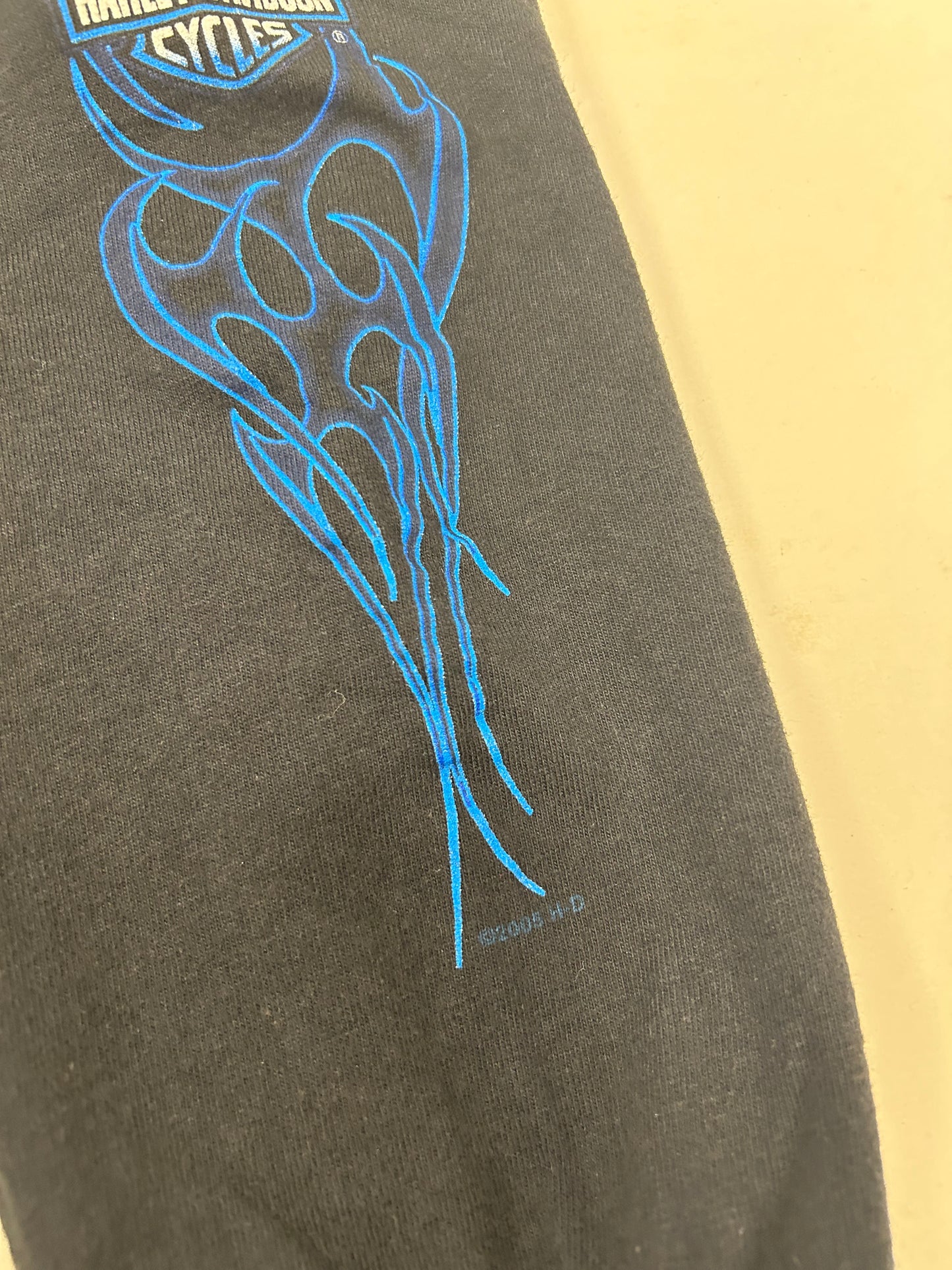 Vintage 2000s Harley Davidson Motorcycles Tilley’s Historic Salisbury, NC Flame Long Sleeve Ride It Hot Tee Small 18x28 Inches Black