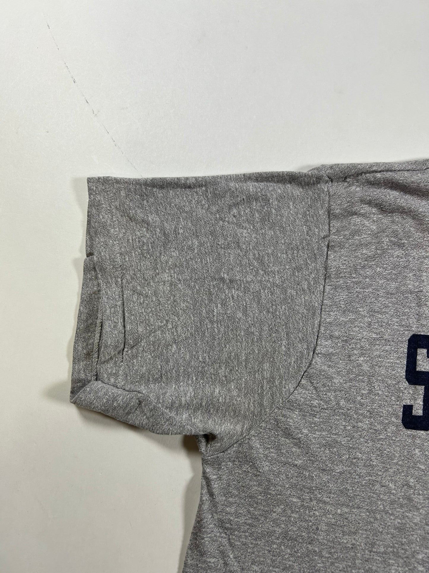 Vintage Champion Saddle River Phys. Ed. Gym Graphic Tee Gray 80s USA 50/50 21.75x26.25 Inches