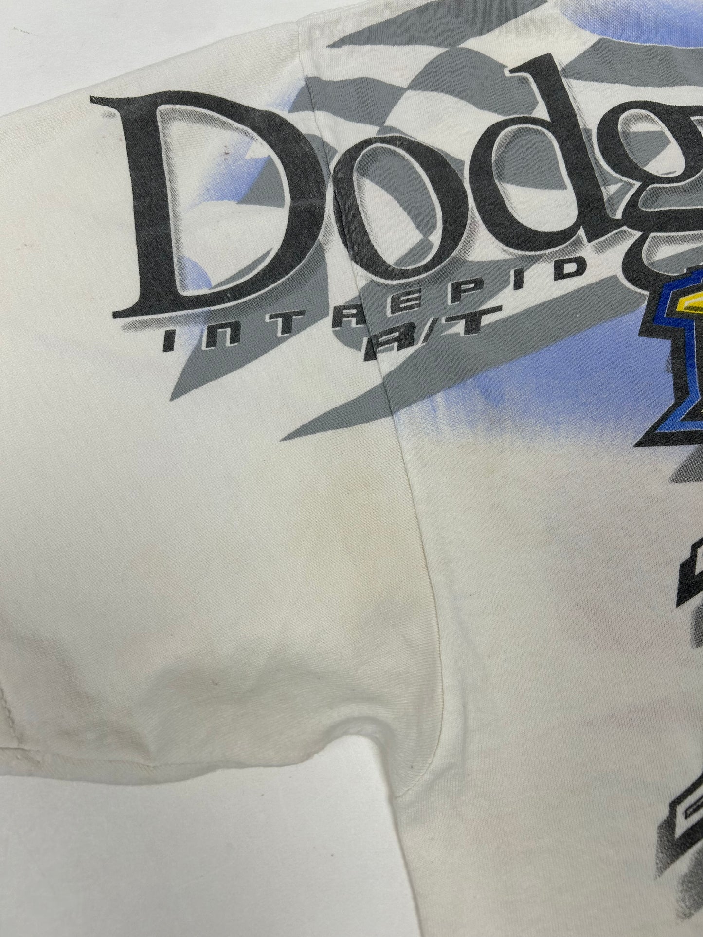 Vintage Chase Authentics NASCAR Dodge R/T Evernham #19 Dare To Be Different XL 25x29.5 Inches As Is