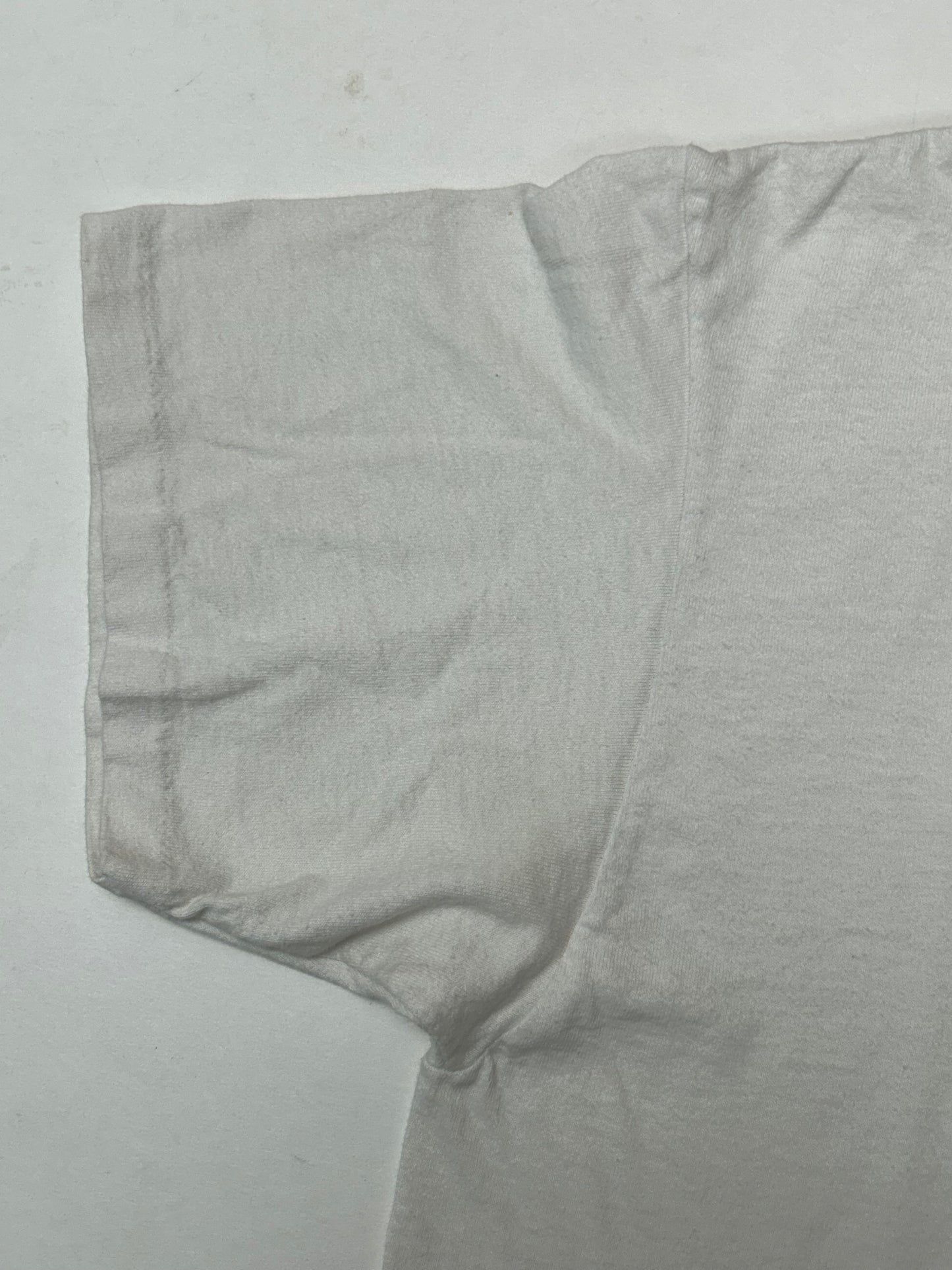 Vintage 1992 Chicago Bulls 2 Time NBA World Champs Caritcure Team Salem Sportswear Graphic Tee Large/Medium Fit 20.75x Inches