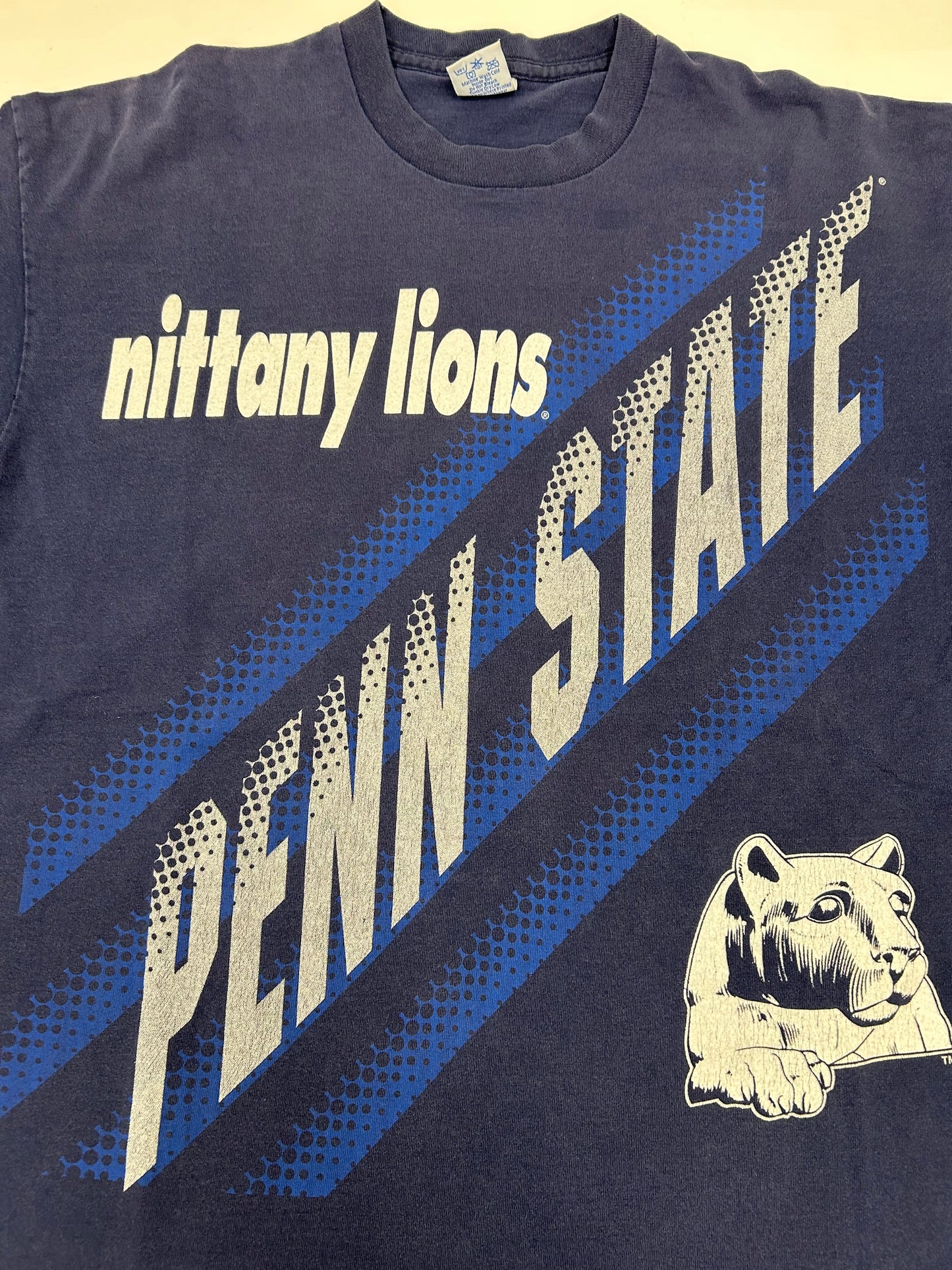 Vintage Salem Sportswear Penn State Nittany Lions NCAA College Tee 24.5x29.75 Inches