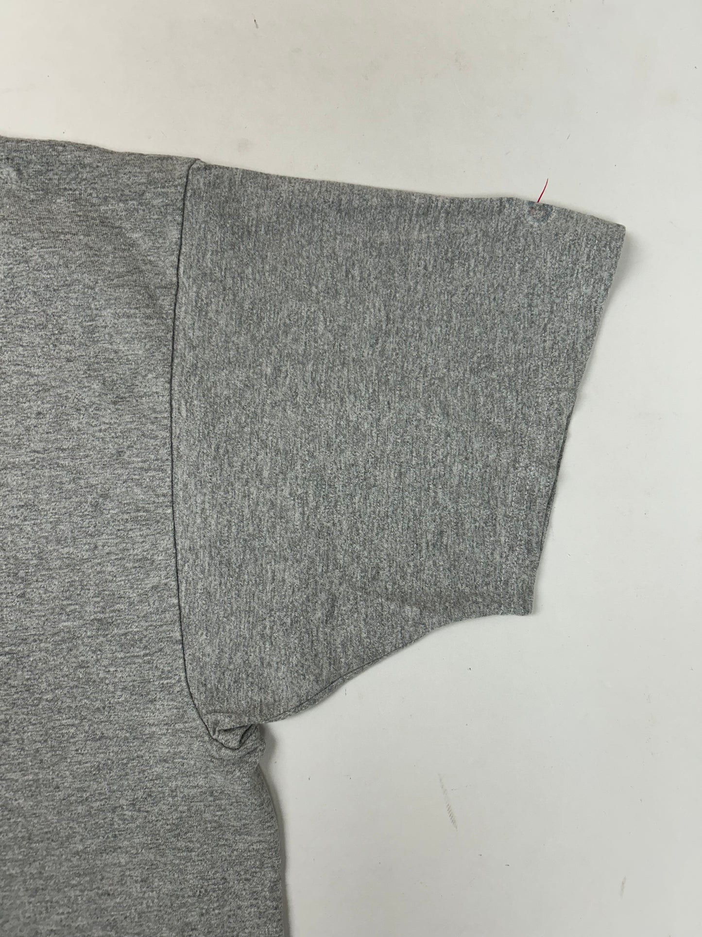 Edgewood NJ first edition “Deeper Than The Roots.” Tee 2XL  25.5x31 Inches Early 00s Champion Blank Gray 90/10 Blend Mexico