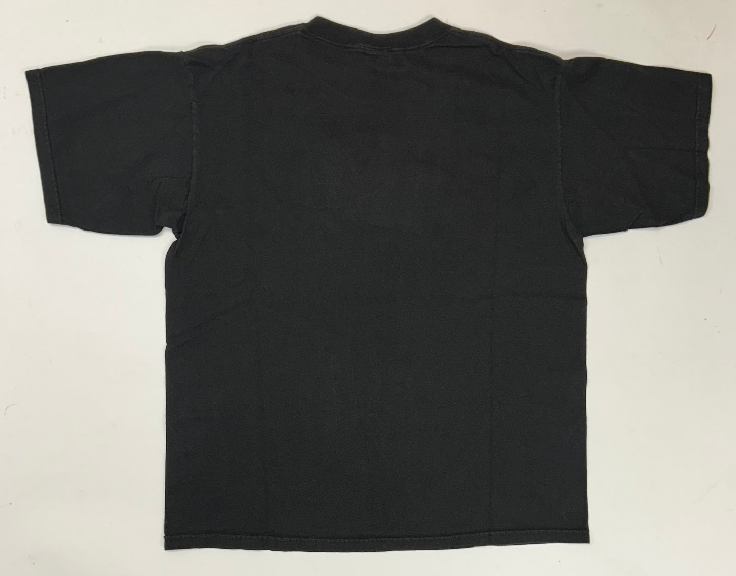 Vintage Lee Sport Detroit Red Wings NHL Embroidered Logo Tee Large 22.5x28 Inches