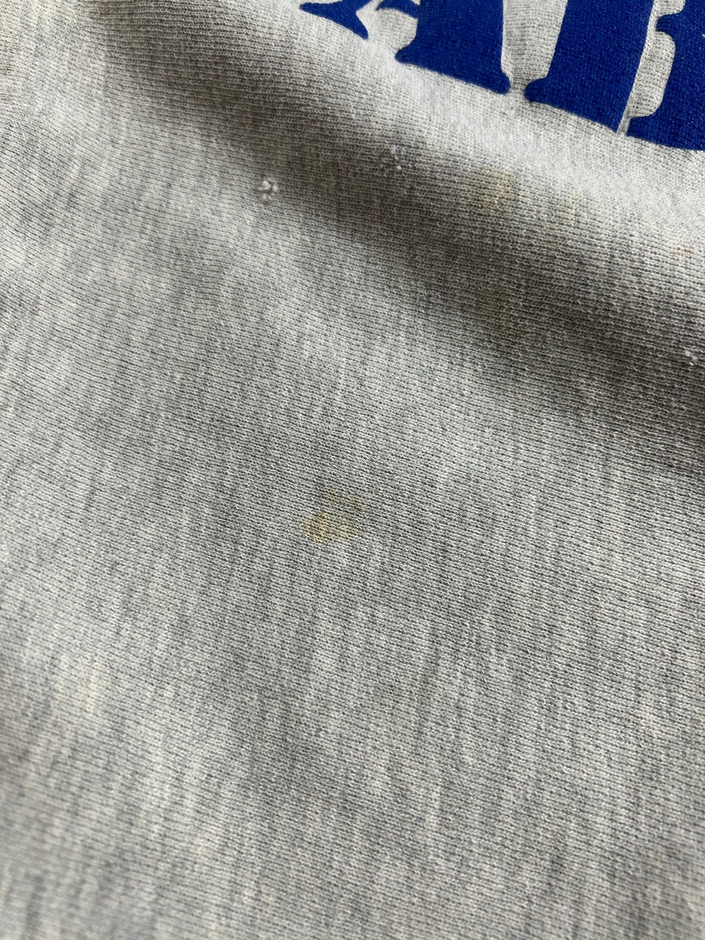 Vintage Buffalo Sabres NHL Champion Reverse Weave Crewneck Sweatshirt 21.75x27.5 Inches Mediumish/Smallish Fit As Is Has Wear