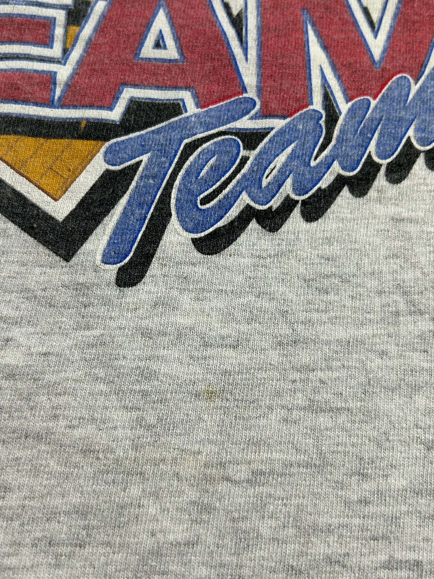 Vintage 1992 Dream Team Barcelona Olympic Michael Jordan NBA Salem Sportswear XL 23.75x29 Inches Gray As Is