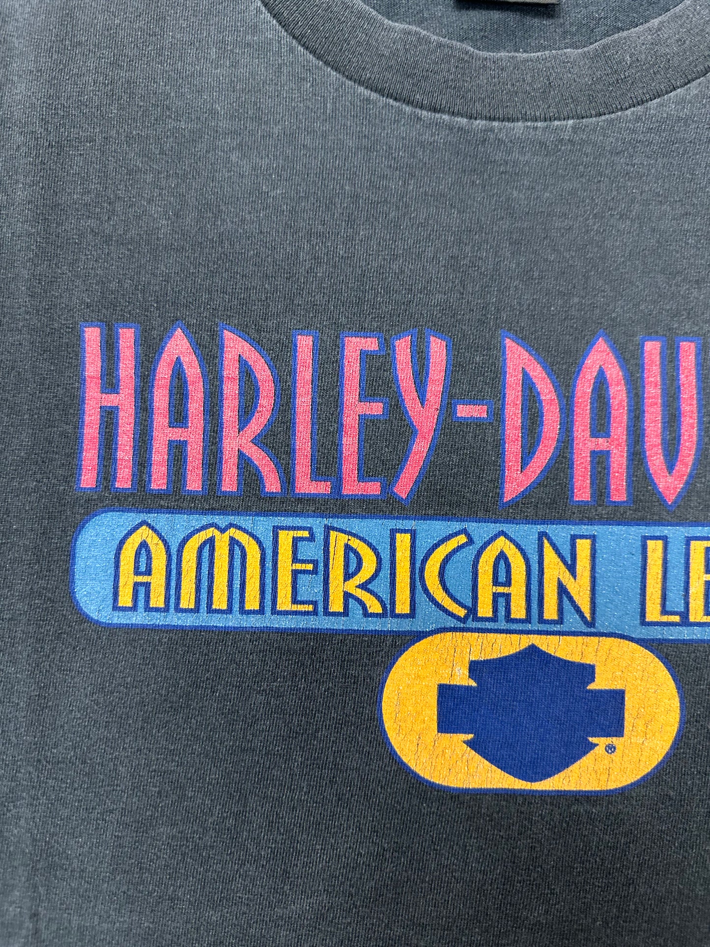 Vintage 90s Harley Davidson Motorcycles Chick’s Albuquerque, N.M. American Legend Tee Large 22.25x28.75 Inches