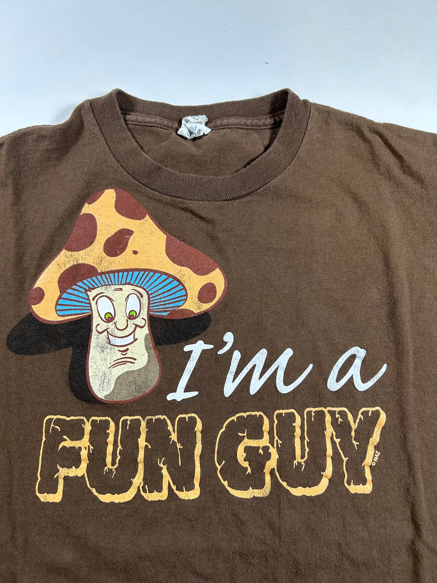 2000s I'm A Fun Guy Graphic Funny Parody Tee Tagged Large Can Fit Medium 21.5x26 Inches Delta Pro Weight Brown Shirt