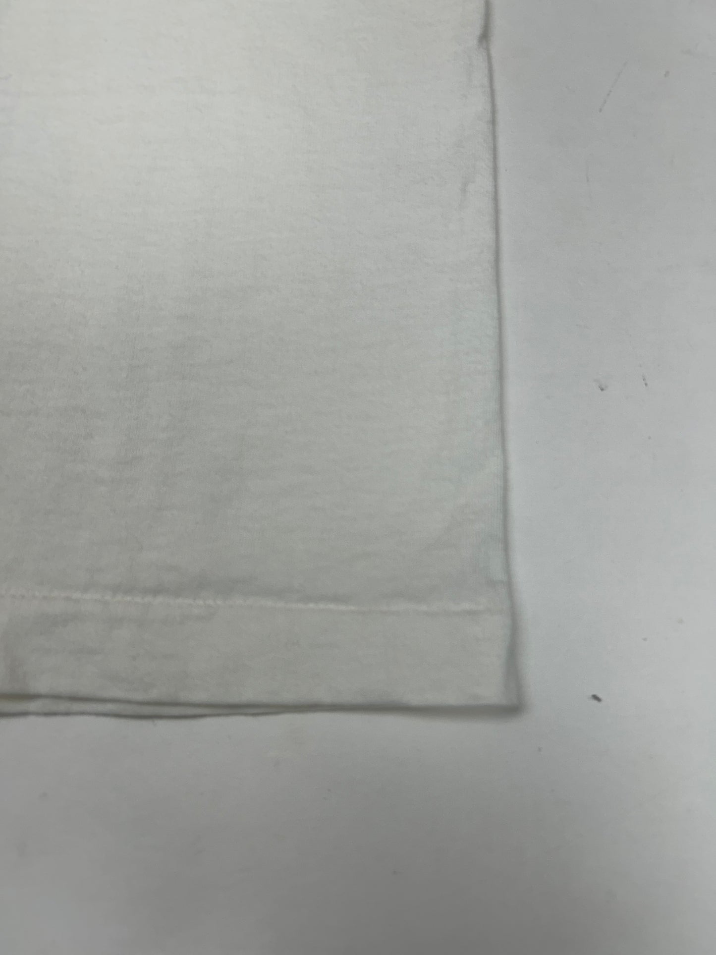 Vintage 1991 Chicago Bulls NBA World Champs Caritcure Team First Championship Salem Sportswear Graphic Tee L/XL 22.25x30.75 Inches