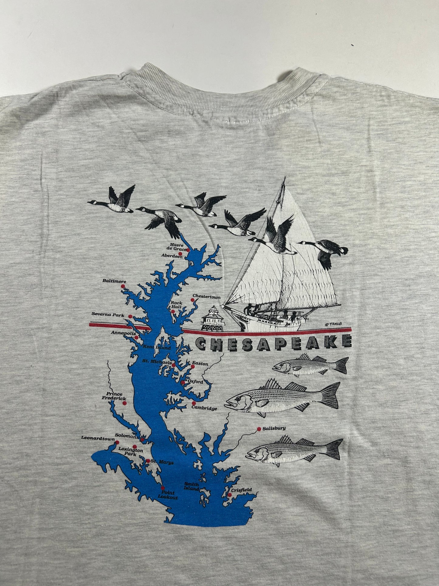 Vintage 90s St. Michael’s Maryland Chesapeake Chopped Sleeveless Tee XL 24x28 Inches As Is