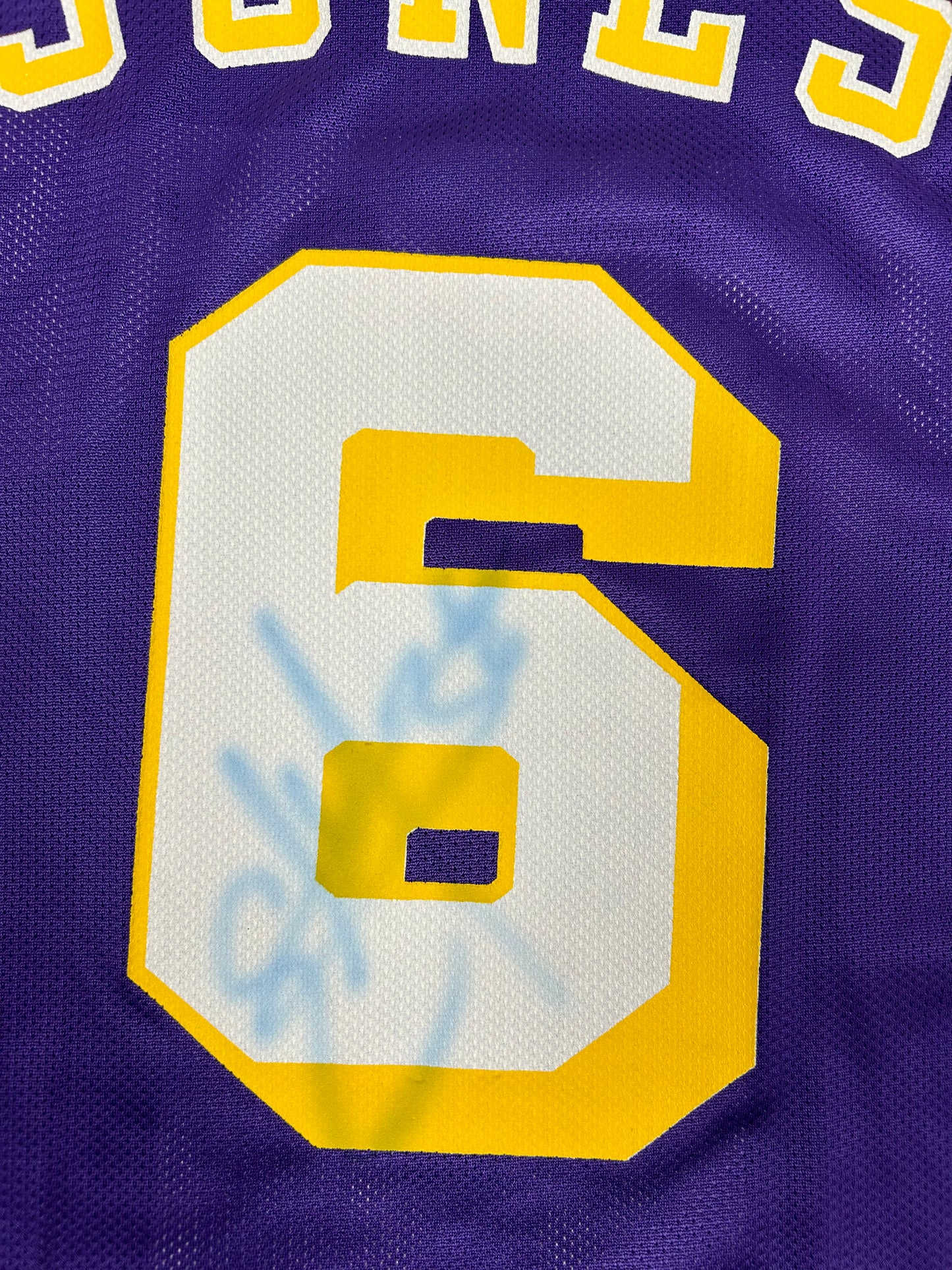 Vintage 90s Champion Los Angeles Lakers NBA Eddie Jones #6 Jersey Purple Size 44 Large 22.76x32.25 Inches