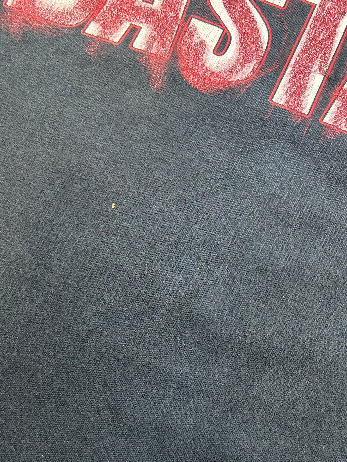 Vintage 2000 The Big Show Big Nasty Bastard WWF WWE Wrestling T Shirt Size 2XL 24.75x30.5 Inches 2000s