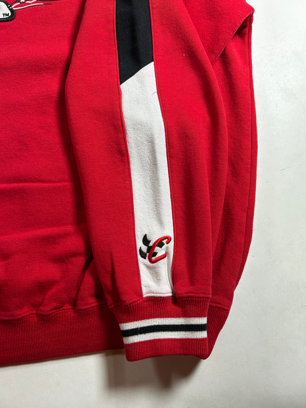 Vintage Chase Authentics NASCAR Dale Earnhardt Jr. # 8 Bud Racing Crewneck Sweatshirt Has Mark On The Back XL 27.5x28.25 Inches