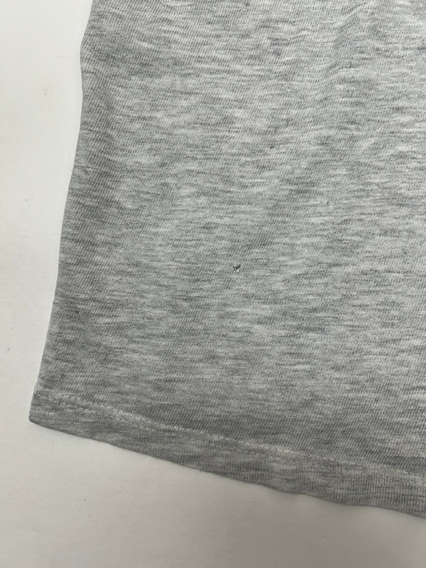 Vintage 90s Canyon Ranch Athletic Dept. Champion Long Sleeve Tee Gray Large 22.5x26.5 Inches