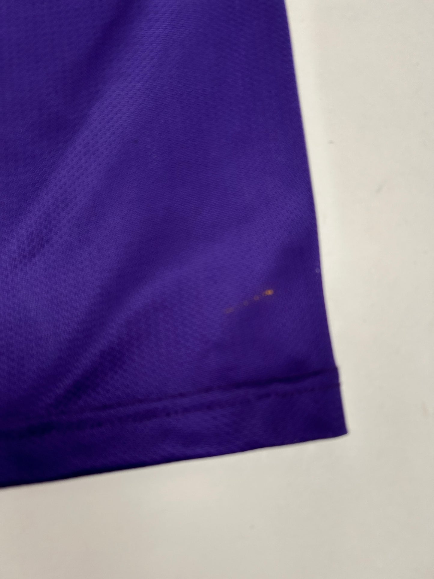 Vintage 90s Champion Los Angeles Lakers NBA Eddie Jones #6 Jersey Purple Size 44 Large 22.76x32.25 Inches