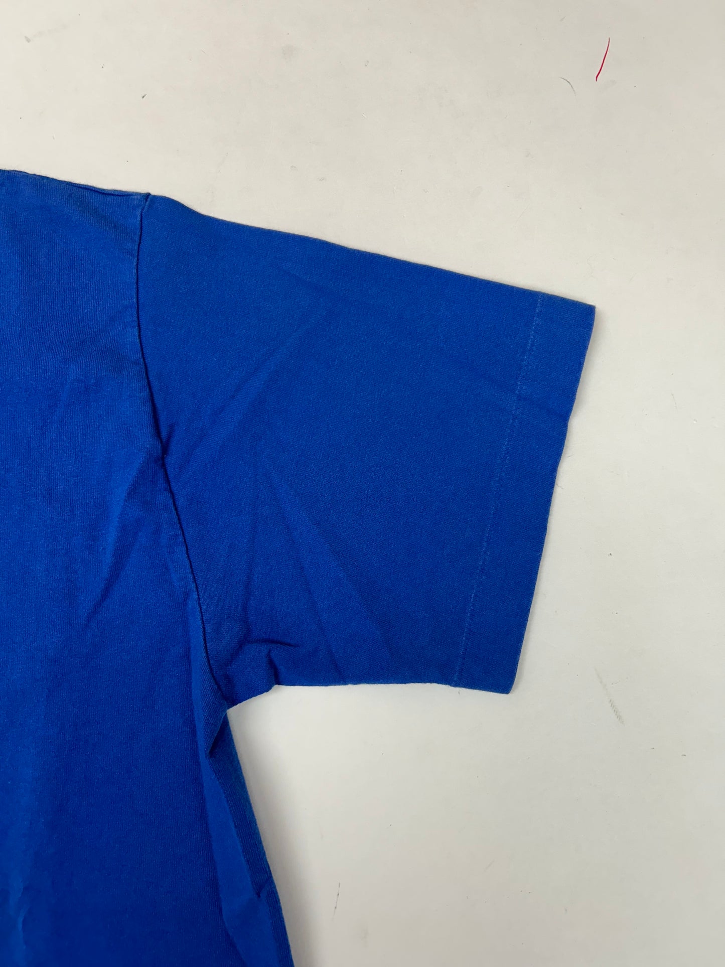 Vintage 1996 Warner Bros. Studio Store Tasmania Devil Taz Graphic Tee Large 21.25x29 Inches Blue