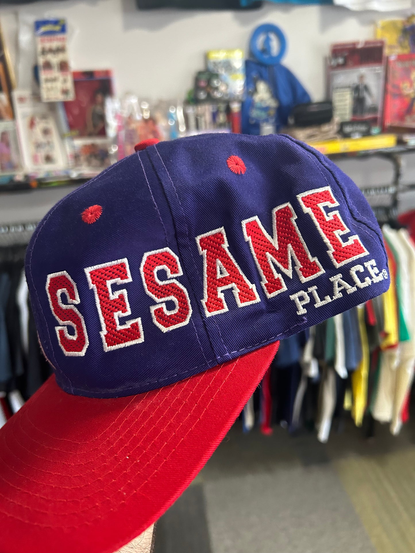 Vintage Sesame Place Sesame Street Snapback Hat 90s Elmo Ernie Clean Embroidery