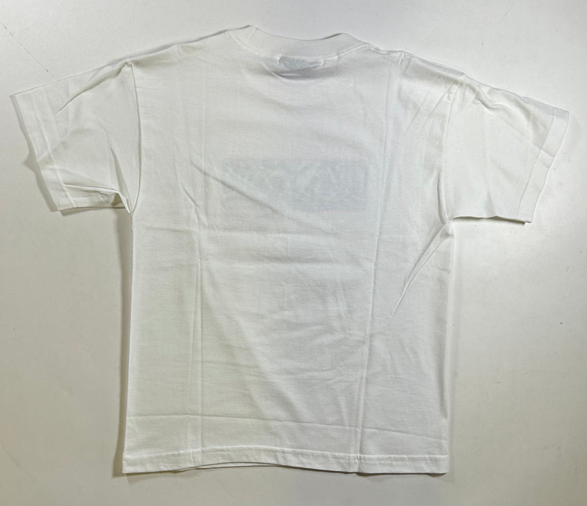Vintage Birdhouse Skateboards Tony Hawk Falcon 3 Graphic Skateboard Tee 2000-01