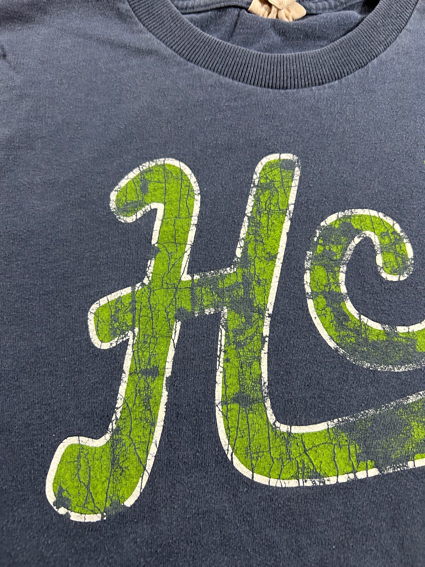 Hollister HCO T-Shirt Blue Short Sleeve Logo Surf Y2K 2000s Medium 19.75x27.75 Inches