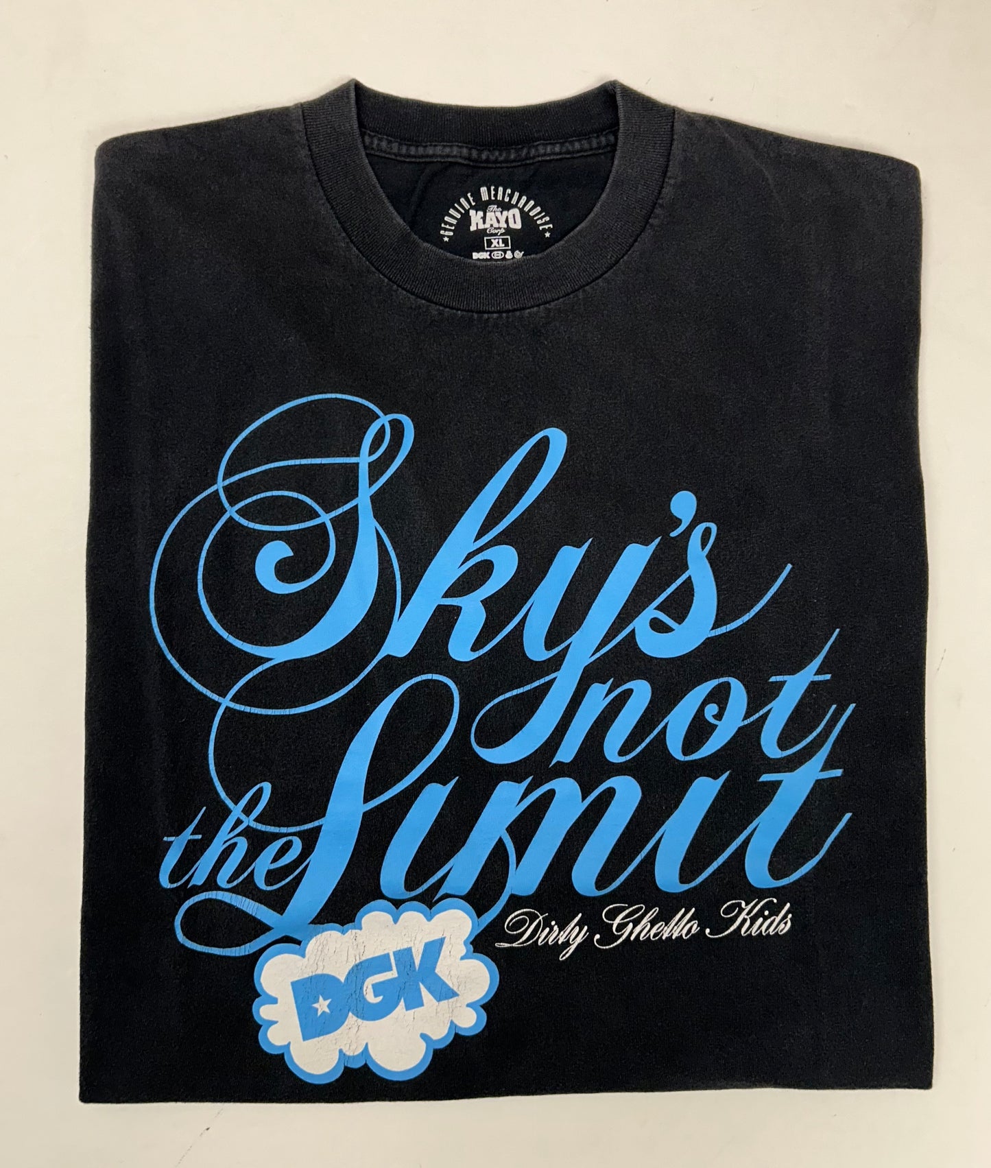 Vintage 2000s DGK Dirty Ghetto Kids Sky’s Not The Limit Skate Tee Skateboarding XL 23.5x30 Inches