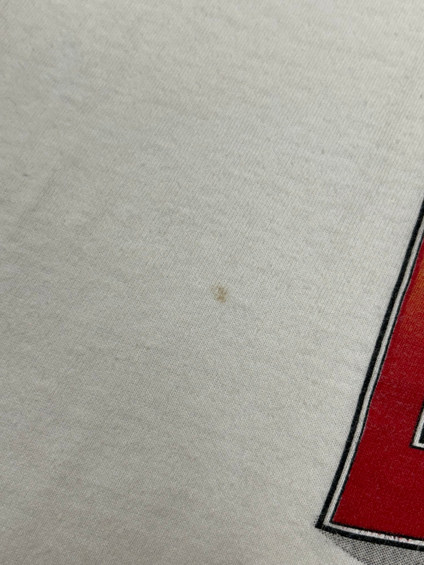 Vintage 1992 Chicago Bulls 2 Time NBA World Champs Caritcure Team Salem Sportswear Graphic Tee Large/Medium Fit 20.75x Inches