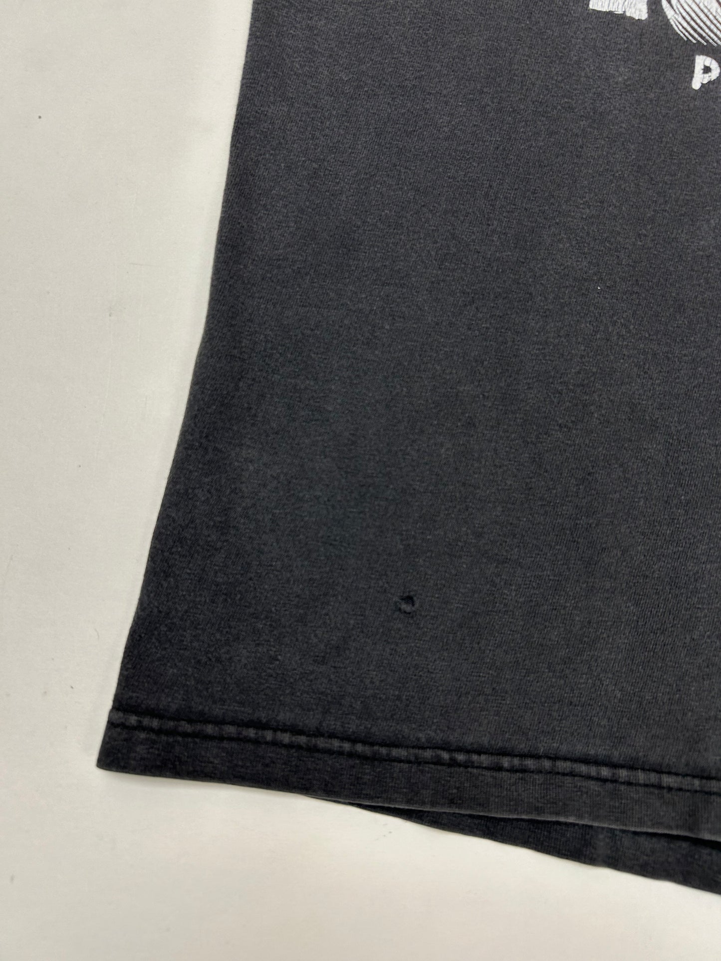 Vintage 90s Lehigh River Pocono Whitewater Rafting Skull Graphic Tee Large 21.5x27.75 Inches