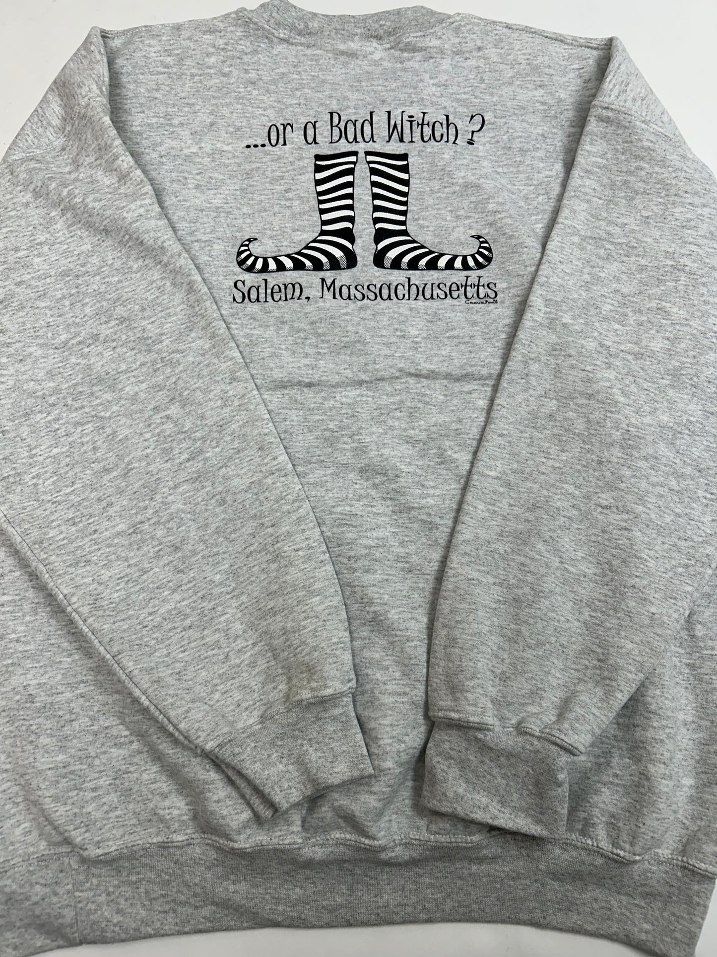 Vintage Are You A Good Witch…Or A Bad Witch? Salem, Massachusetts Wizard Of Oz Feet Casual Tees Funny Parody Crewneck Sweatshirt XL 26.5x29.5 Inches Gray