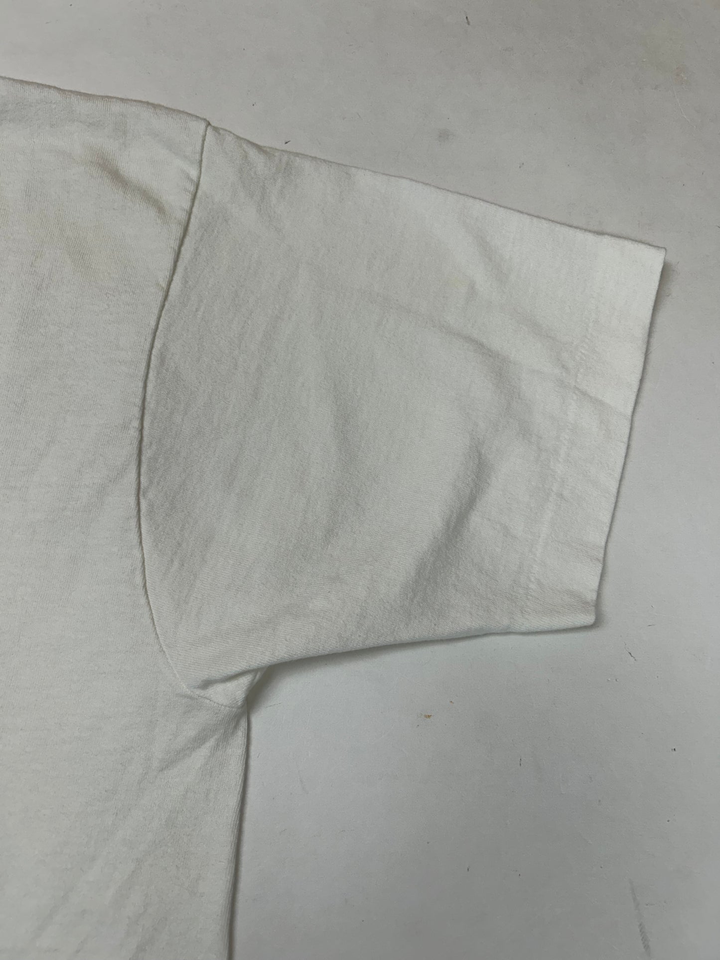 Vintage 1991 Chicago Bulls NBA World Champs Caritcure Team First Championship Salem Sportswear Graphic Tee L/XL 22.25x30.75 Inches