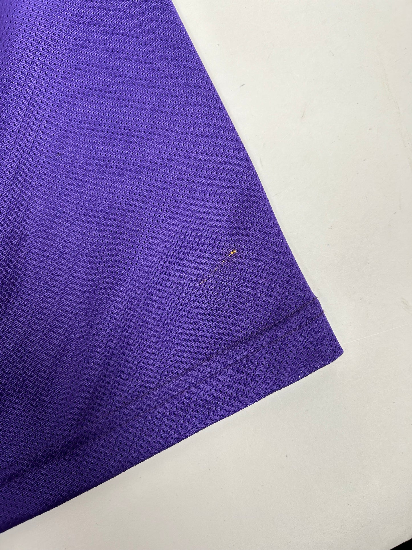 Vintage 90s Champion Los Angeles Lakers NBA Eddie Jones #6 Jersey Purple Size 44 Large 22.76x32.25 Inches